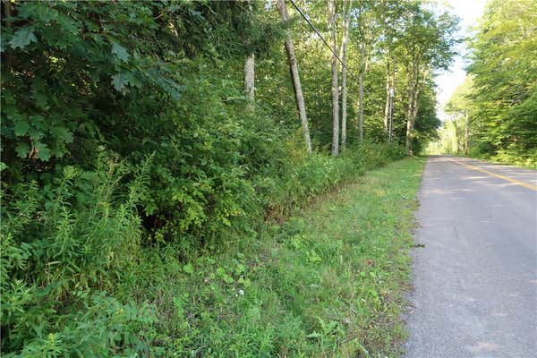 LOT 8 GERMAN ROAD, WILLET, NY 13863, photo 4 of 4