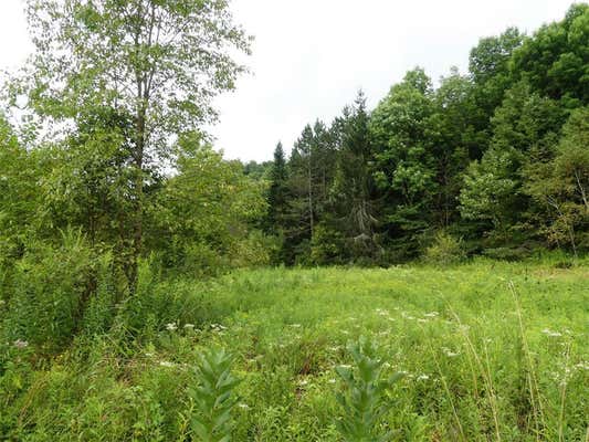 LOT 10.7 FALL CLOVE ROAD, DELANCEY, NY 13752, photo 2 of 5