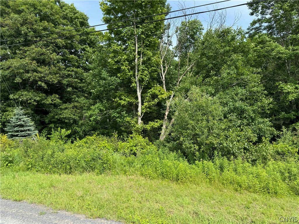 7204 SWEENEY RD, GREIG, NY 13345 Vacant Land For Sale MLS S1549426 RE/MAX