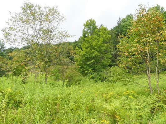 LOT 10.7 FALL CLOVE ROAD, DELANCEY, NY 13752, photo 4 of 5