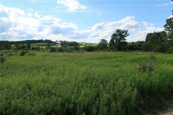 LOT 2 GERMAN ROAD, WILLET, NY 13863 - Image 1