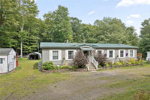 236 SPISAK RD, AFTON, NY 13730 - Image 1