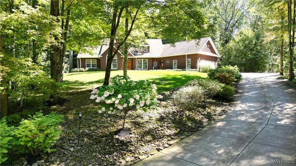 6692 HENCOOP HOLLOW RD, ELLICOTTVILLE, NY 14731 - Image 1