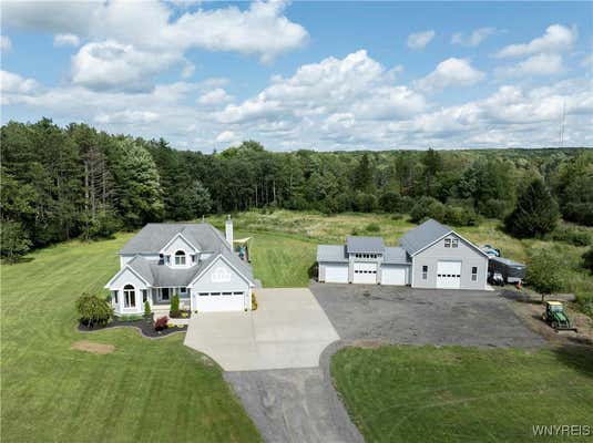 8081 IRISH RD, COLDEN, NY 14033 - Image 1