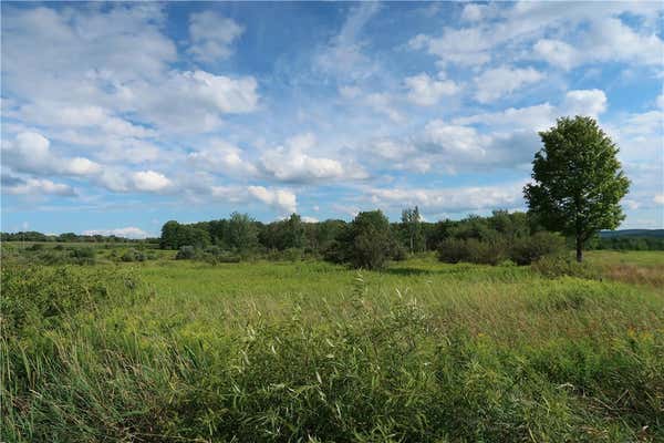 LOT 1 STALEY ROAD, WILLET, NY 13863, photo 5 of 7