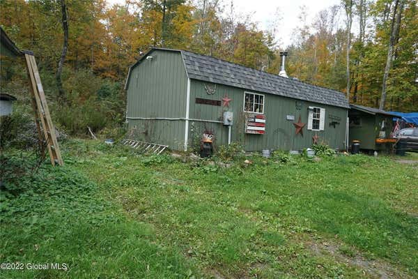 164 DRAGOO RD, SCHENEVUS, NY 12155 - Image 1