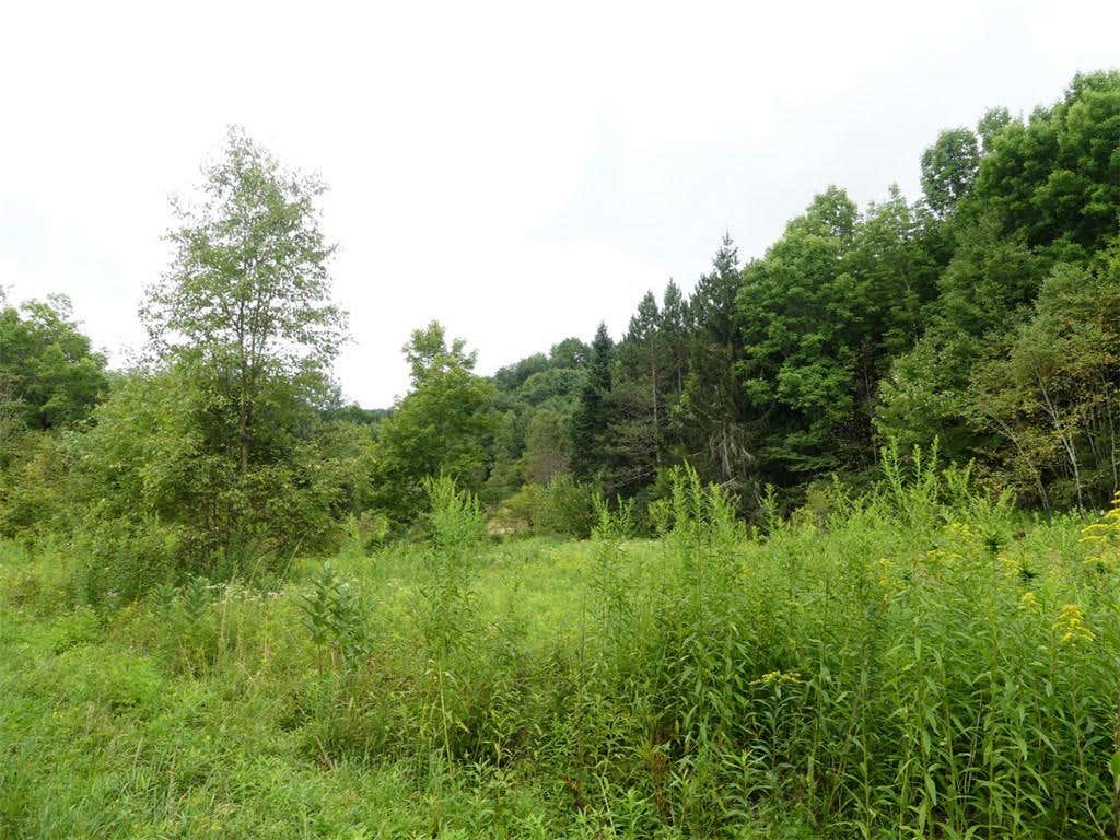 LOT 10.7 FALL CLOVE ROAD, DELANCEY, NY 13752, photo 1 of 5