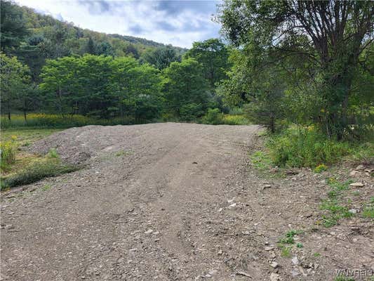 LOT A PORTER HOLLOW ROAD, GREAT VALLEY, NY 14741 - Image 1