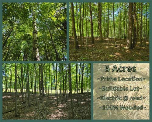 LOT 13 CANTERBURY LANE, DAVENPORT, NY 13750 - Image 1