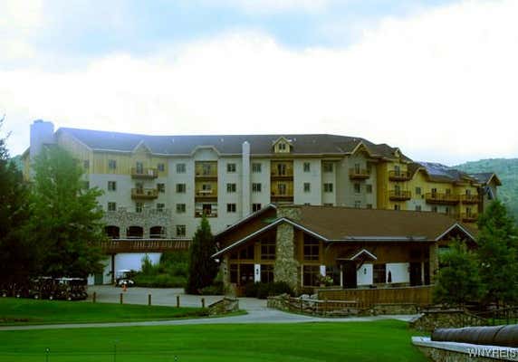 6447 HOLIDAY VALLEY RD # 401403-4, ELLICOTTVILLE, NY 14731 - Image 1