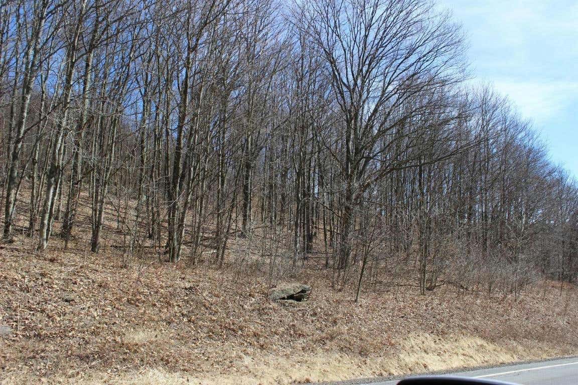 0 COUNTY HIGHWAY 26, DOWNSVILLE, NY 13782, photo 1 of 16