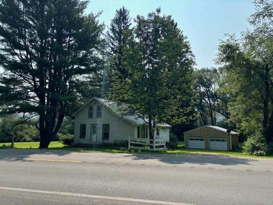 529 CANDOR RD, SPENCER, NY 14883 - Image 1