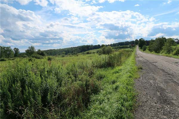 LOT 1 STALEY ROAD, WILLET, NY 13863, photo 3 of 7