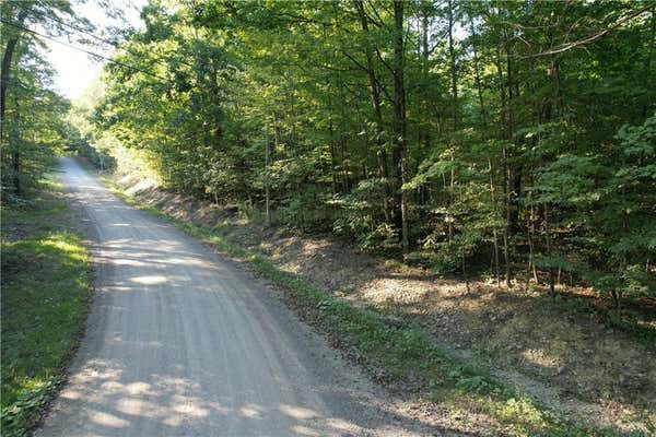 LOT 2 LOCKWOOD RUN ROAD E, LOCKWOOD, NY 14902 - Image 1