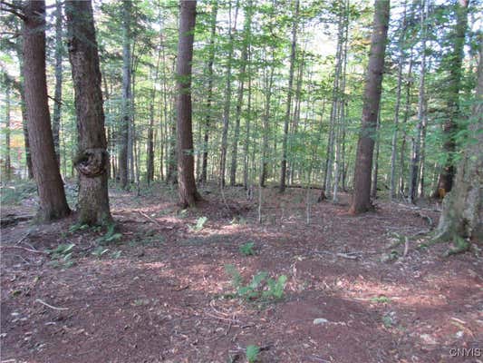 LOT 59 CAYUGA ROAD, OLD FORGE, NY 13420 - Image 1