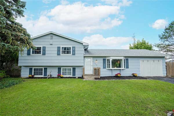 113 FEASEL DR, HENRIETTA, NY 14467 - Image 1