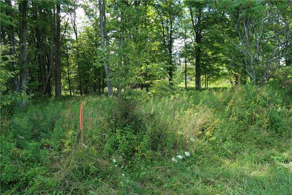 LOT 5 GERMAN ROAD, WILLET, NY 13863 - Image 1