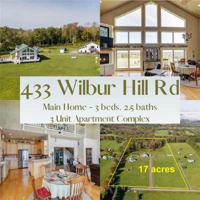 433 WILBUR HILL RD, UNADILLA, NY 13849 - Image 1