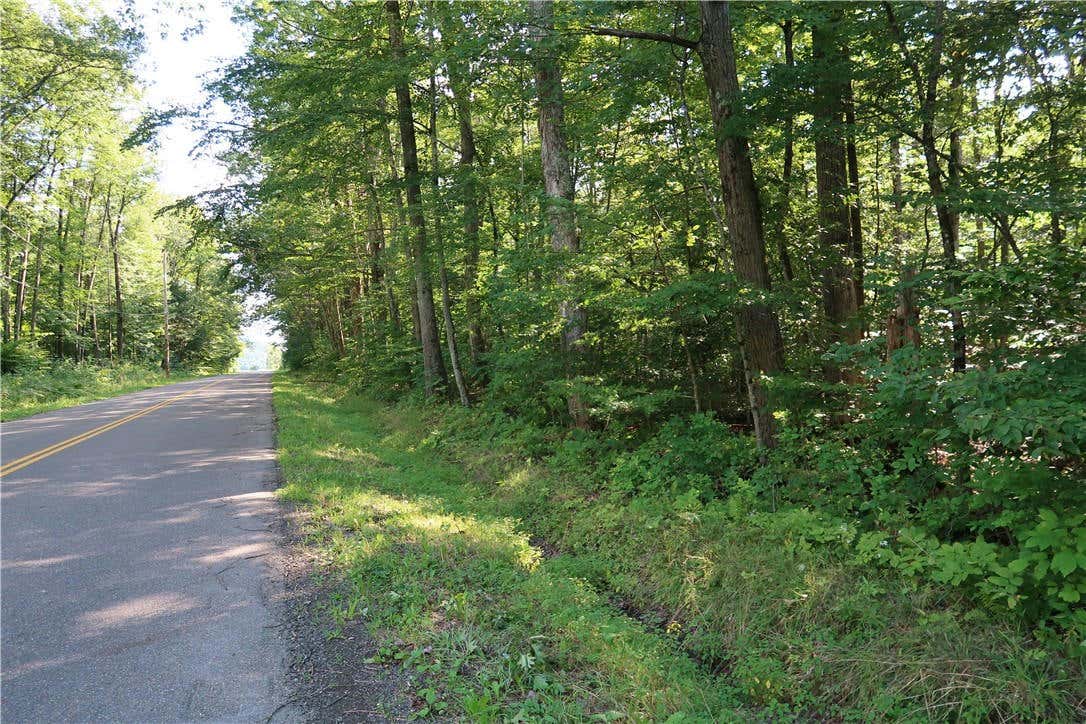 LOT 8 GERMAN ROAD, WILLET, NY 13863, photo 1 of 4