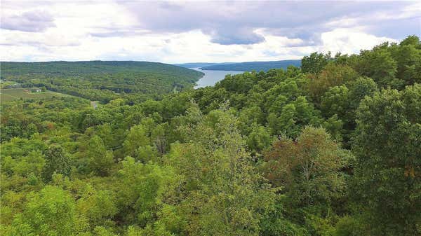 3395 JAMES RD LOT C, KEUKA PARK, NY 14478 - Image 1