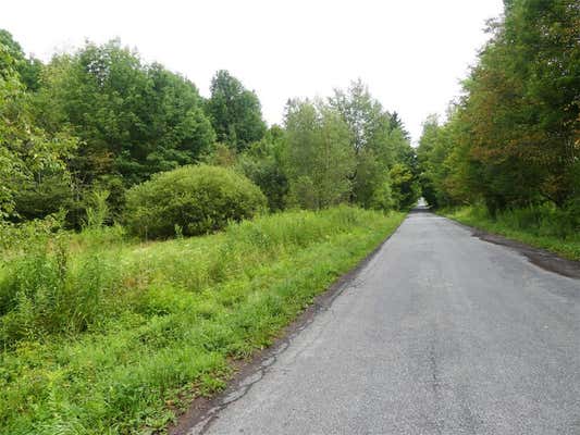 LOT 10.7 FALL CLOVE ROAD, DELANCEY, NY 13752, photo 3 of 5