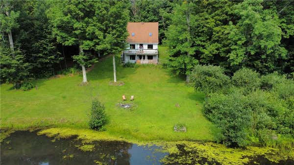 168 MOUNTAIN LN, COOPERSTOWN, NY 13326 - Image 1