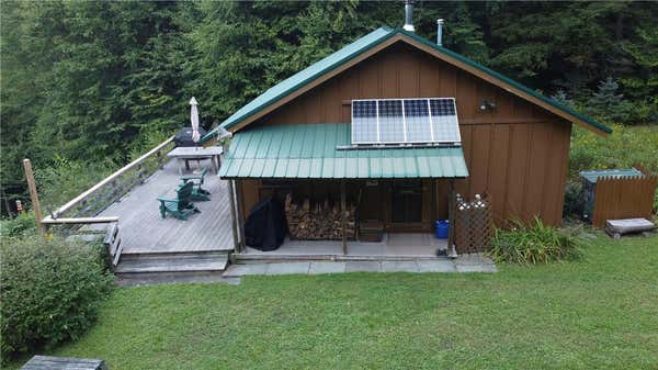 3133 BAXTER MOUNTAIN RD, ROSCOE, NY 12776 - Image 1