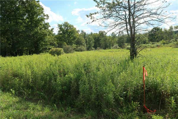 LOT 4 GERMAN ROAD, WILLET, NY 13863 - Image 1