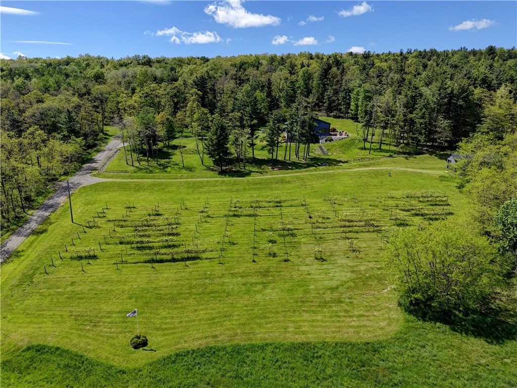 Hammondsport, New York, 14840, United States, 4 Bedrooms Bedrooms, ,5 BathroomsBathrooms,Residential,Active,1824033