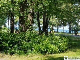 5 BEACH PL, FREDONIA, NY 14063 - Image 1