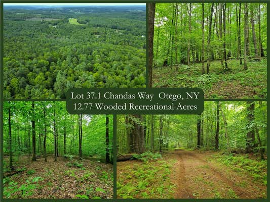 LOT 37.1 CHANDAS WAY, OTEGO, NY 13825 - Image 1