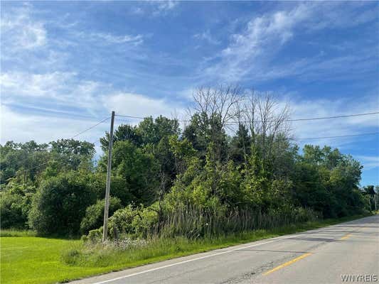 V/L HARTLAND ROAD, GASPORT, NY 14067 - Image 1