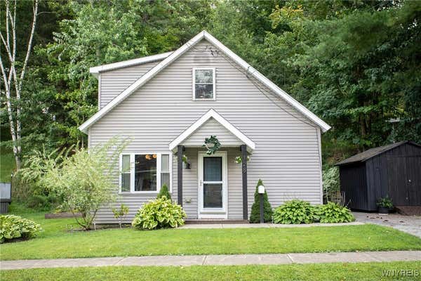 128 PEARL ST, SPRINGVILLE, NY 14141 - Image 1