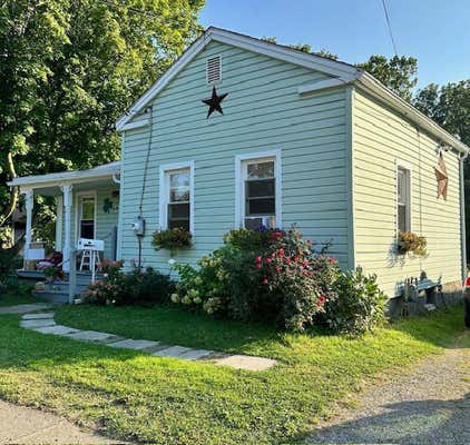 19 MAIN ST, DANSVILLE, NY 14437 - Image 1