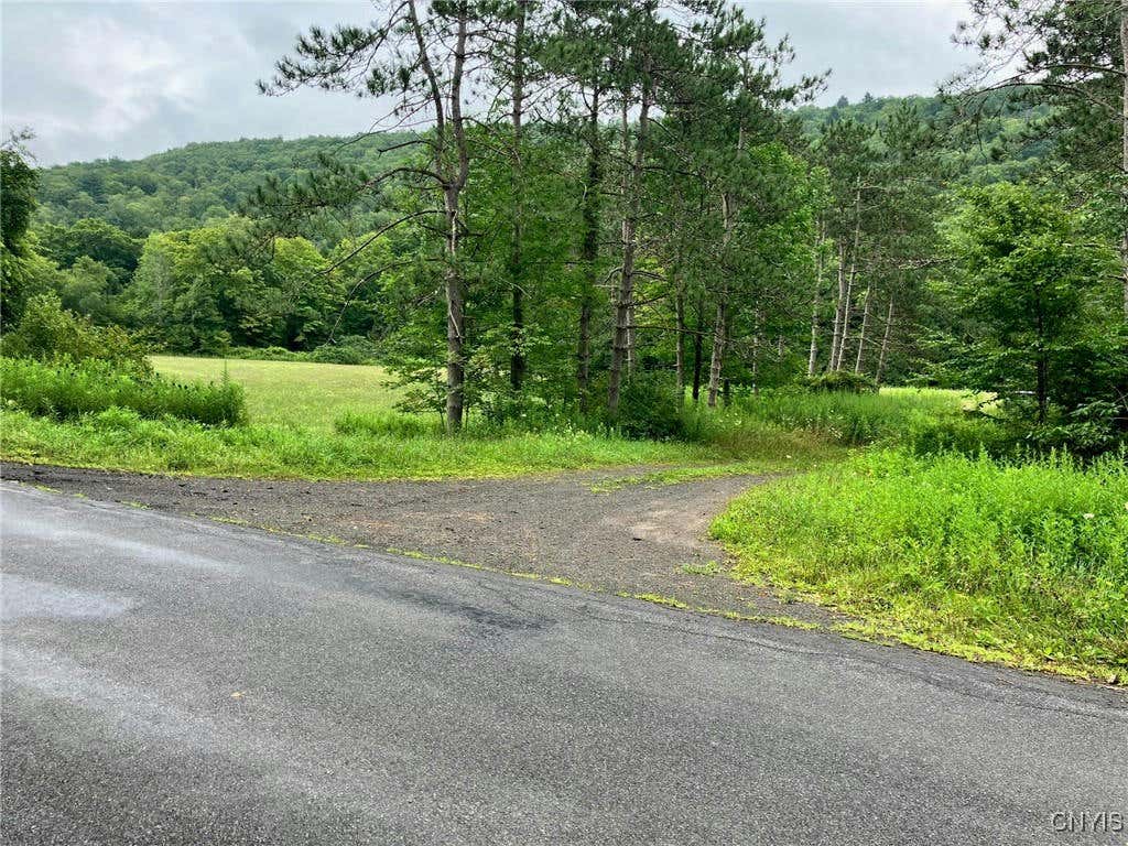 00 ROODS CREEK ROAD, DEPOSIT, NY 13754, photo 1 of 17