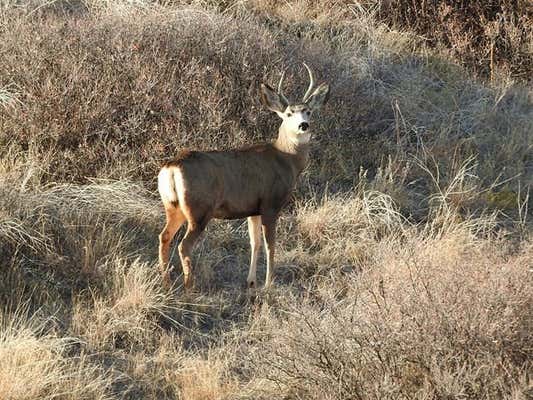 18000 N COUNTY RD 4255, STIGLER, OK 74462, photo 3 of 8