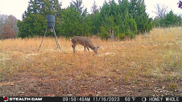 10 ACRES ON 126 ROAD, TECUMSEH, OK 74873, photo 2 of 11