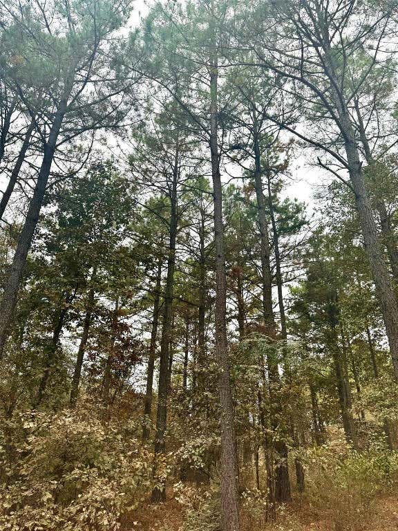 685 JOHNNY BEAVERS TRAIL RD, BROKEN BOW, OK 74728, photo 1 of 5