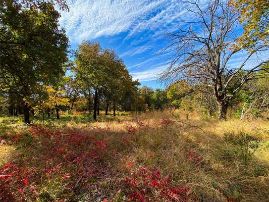 16921 WILDWOOD DRIVE, NOBLE, OK 73068 - Image 1