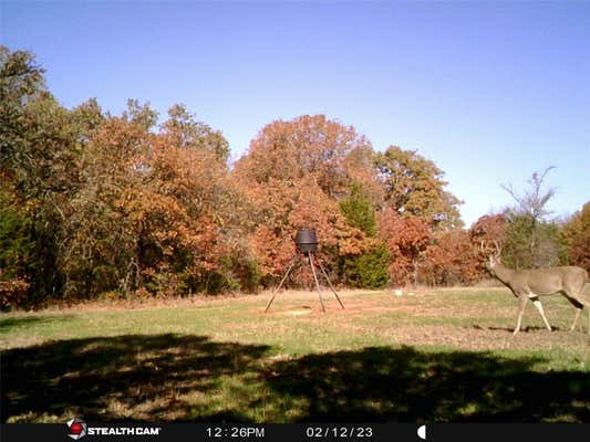 10 ACRES ON 126 ROAD, TECUMSEH, OK 74873, photo 3 of 11