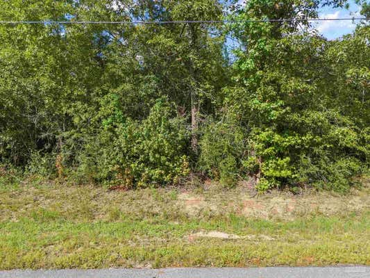 PARCEL 14 SID HAYES RD, JAY, FL 32565 - Image 1