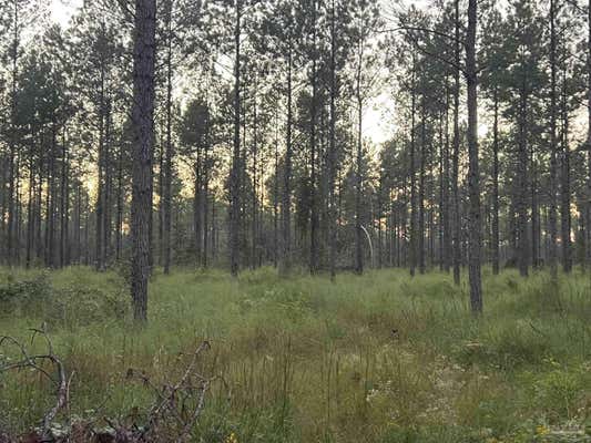 LOT 7 WALLACE LAKE RD, PACE, FL 32571 - Image 1