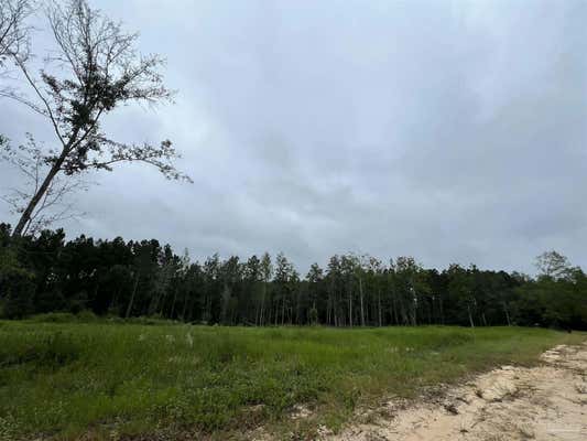 9901 CHUMUCKLA SPRINGS RD, JAY, FL 32565 - Image 1