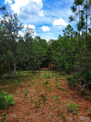 PARCEL A-2 WILDLIFE RD, HAROLD, FL 32564 - Image 1