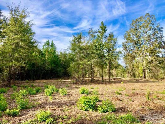 LOT 10 BS BUFFALO RIDGE RD, PACE, FL 32571 - Image 1