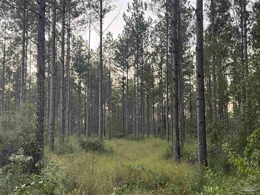 LOT 3 WALLACE LAKE RD, PACE, FL 32571 - Image 1