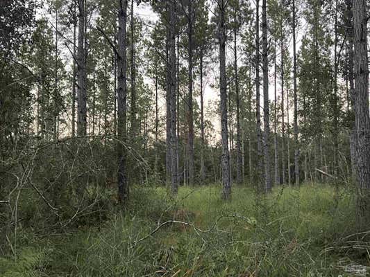 LOT 1 WALLACE LAKE RD, PACE, FL 32571 - Image 1