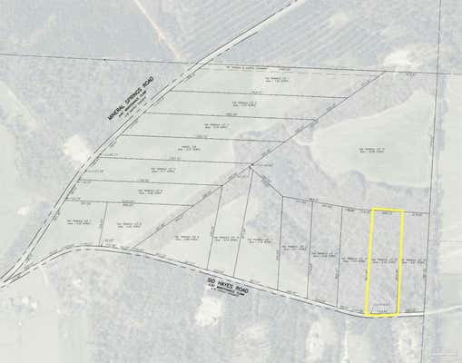 LOT 15 SID HAYES RD, JAY, FL 32565, photo 3 of 6