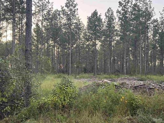 LOT 4 WALLACE LAKE RD, PACE, FL 32571 - Image 1