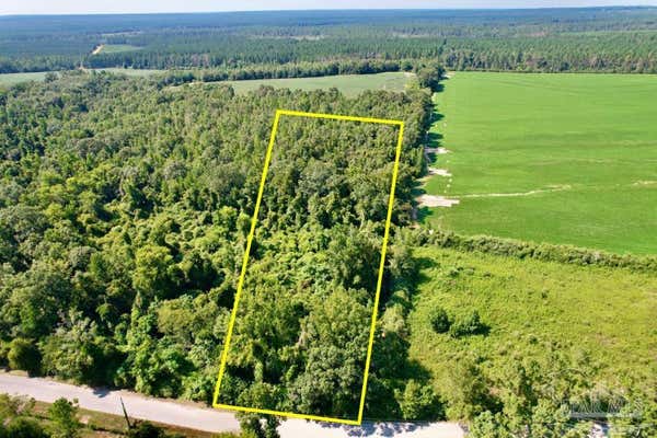 LOT 16 SID HAYES RD, JAY, FL 32565 - Image 1